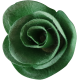 Christmas Day Flower 156