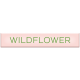 Spring Day- Elements- Word Art- Wildflower