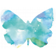 Butterflies- Butterfly 01