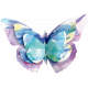 Butterflies - Butterfly - Stapled 03
