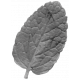 Leaf 022