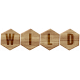 Animal Kingdom - Wild Block Letters