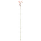 Jane- Elements- Pink Dried Flower 2