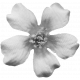 Flowers No.8 Templates- Flower Template 3