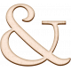 Special Day Elements- Ampersand