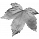 Leaves No.1 – Template 1
