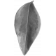 Leaves No.3 – Leaf 9 Template