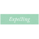New Day Elements- Expecting Word Strip