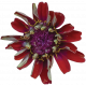 Flowers No. 25-03