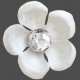 unwind white flower