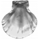 Sea Shells Vol.I-08 template