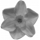 Flowers No.34-08 Template