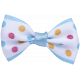 Ribbon- White and Blue