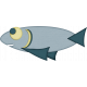 KMRD-Fish Tails-fish1