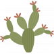 southwestern_cactus 4