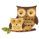 owl-family_owls 1 (updated)