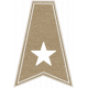 Toolbox Calendar- Star Doodle Flag