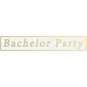 Our Special Day- Word Snippet- Bachelor Party