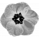 Flower Template 013