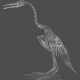 Chills &amp; Thrills- Bird Chalk Skeleton Stamp 
