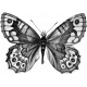 Butterfly Template 061