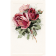 Family Day- Rose Postcard