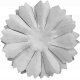 Paper Flower Template 027