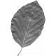 Leaf Template 115