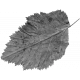 Leaf Template 116