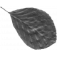 Leaf Template 117