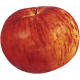 Apple Crisp- Red Apple 03