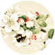 Apple Crisp - Apple Blossom Brad Disk 13