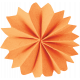 Day of Thanks- Orange Accordion Flower