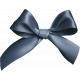 Fresh - Navy Bow