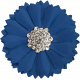 All the Princesses- Blue Flower 03