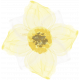 All the Princesses- Painted Yellow Flower 03