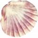 Unwind- Shell 12
