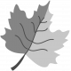 Layered Leaf Template 002