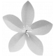 Paper Flower Template 042