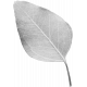 Leaf Template 138