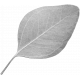 Leaf Template 139