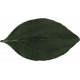 Farmhouse Christmas- Leaf 02