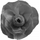 Paper Flower Template 005