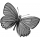 Butterfly Template 037