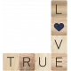 Rustic Charm- True Love Word Art