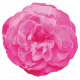 Spring Fresh Rose 02 - Pink