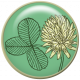 Gentle Blooms- Green Painted-Flower Flair