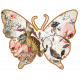 Marie Antoinette Butterfly