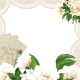 Roses & Lace Overlay/Frame/Border