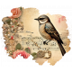 Torn Vintage Bird &amp; Roses Paper Background